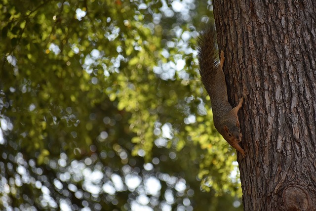 推动创新 推动创新