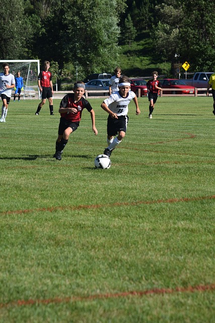 的一股劲旅 的一股劲旅