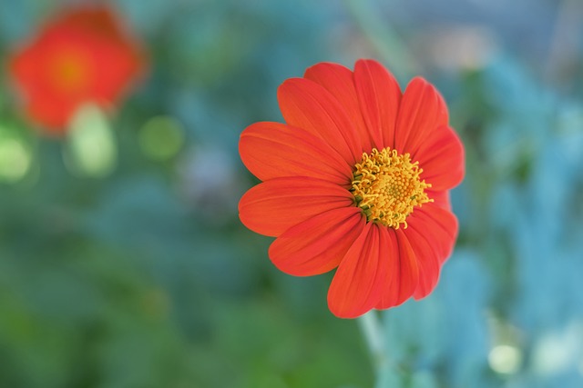 个具体的案 个具体的案