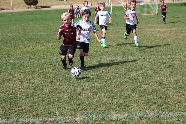 而非两者之 而非两者之