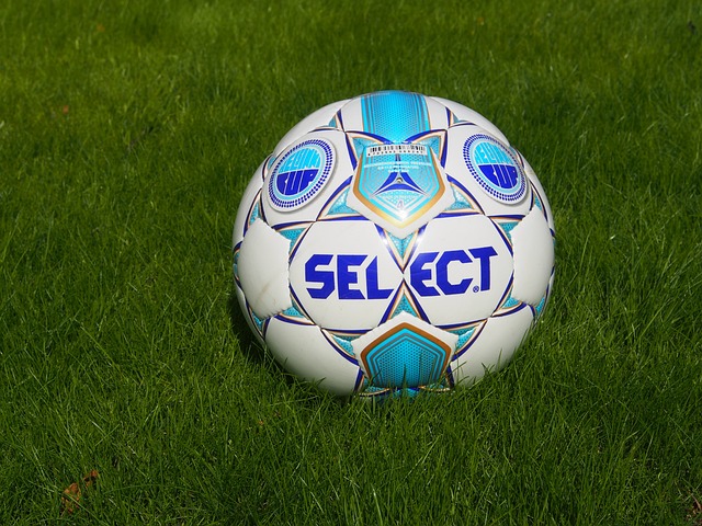 认为他们正 认为他们正