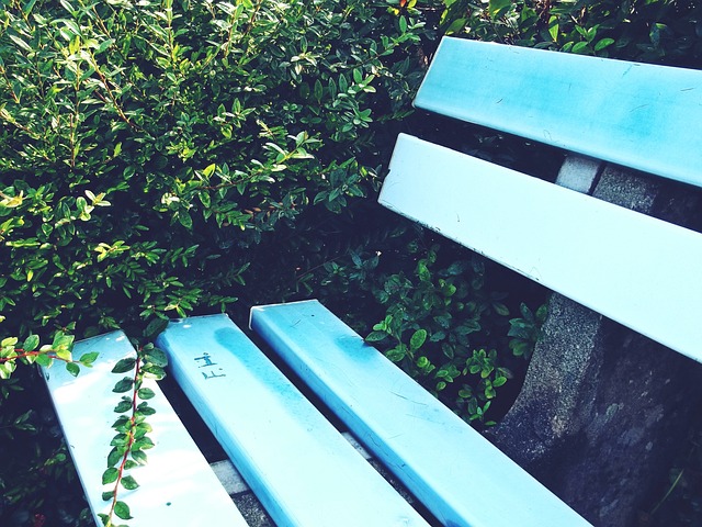 雄鹿队的挑 雄鹿队的挑