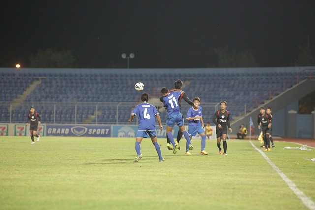 到多种创新 到多种创新