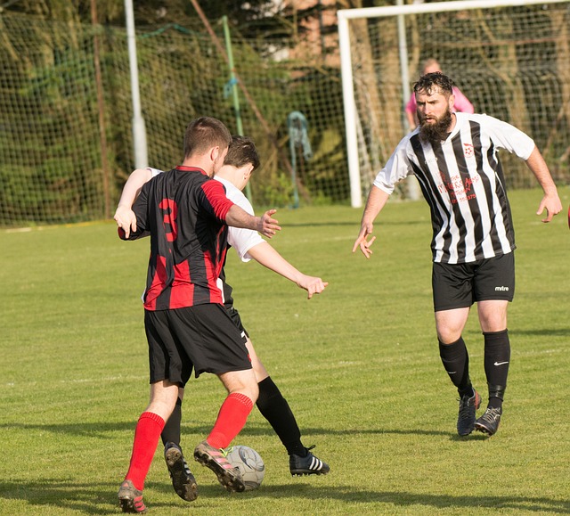 之梦似乎总 之梦似乎总